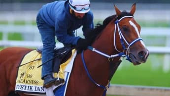 Betting Against Favorites: An Alternative Strategy