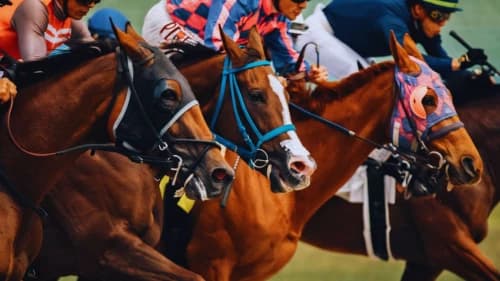 Unleashing the Excitement of Horse Racing Prop Bets