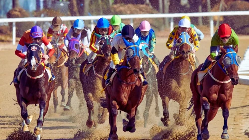 Dynamic Spread Betting in Horse Racing Explained Dynamic Spread Betting in Horse Racing Explained